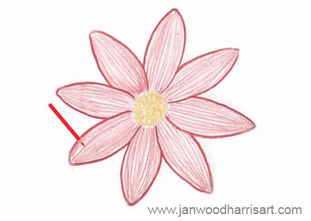 How To Draw A Rose And Daisy Flower, Step by Step, Drawing Guide