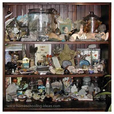 Cabinet of Curiosities