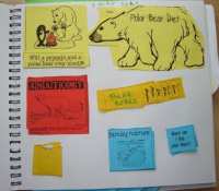 Lapbooks - Polar animals